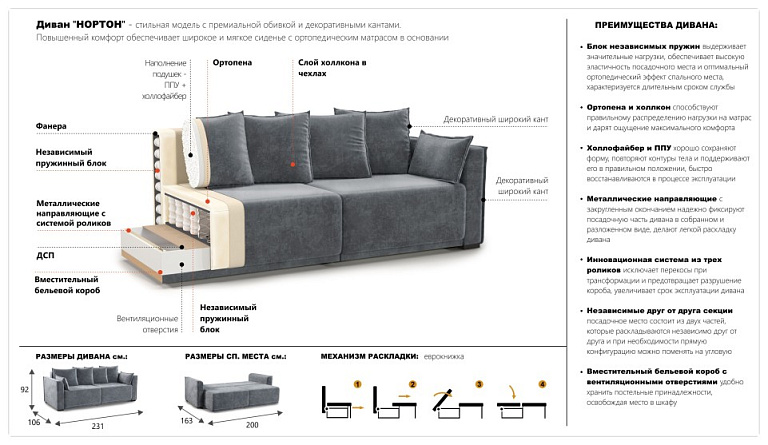 Нортон прямой